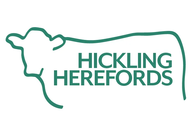 Mobile Friendly Website for Hickling Herefords — screenshot