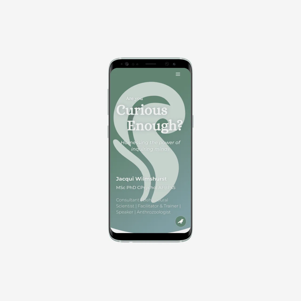 Jacqui Whilmhurst — screenshot