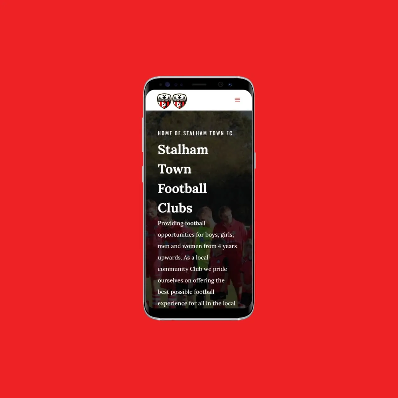 Stalham Football Clubs — screenshot