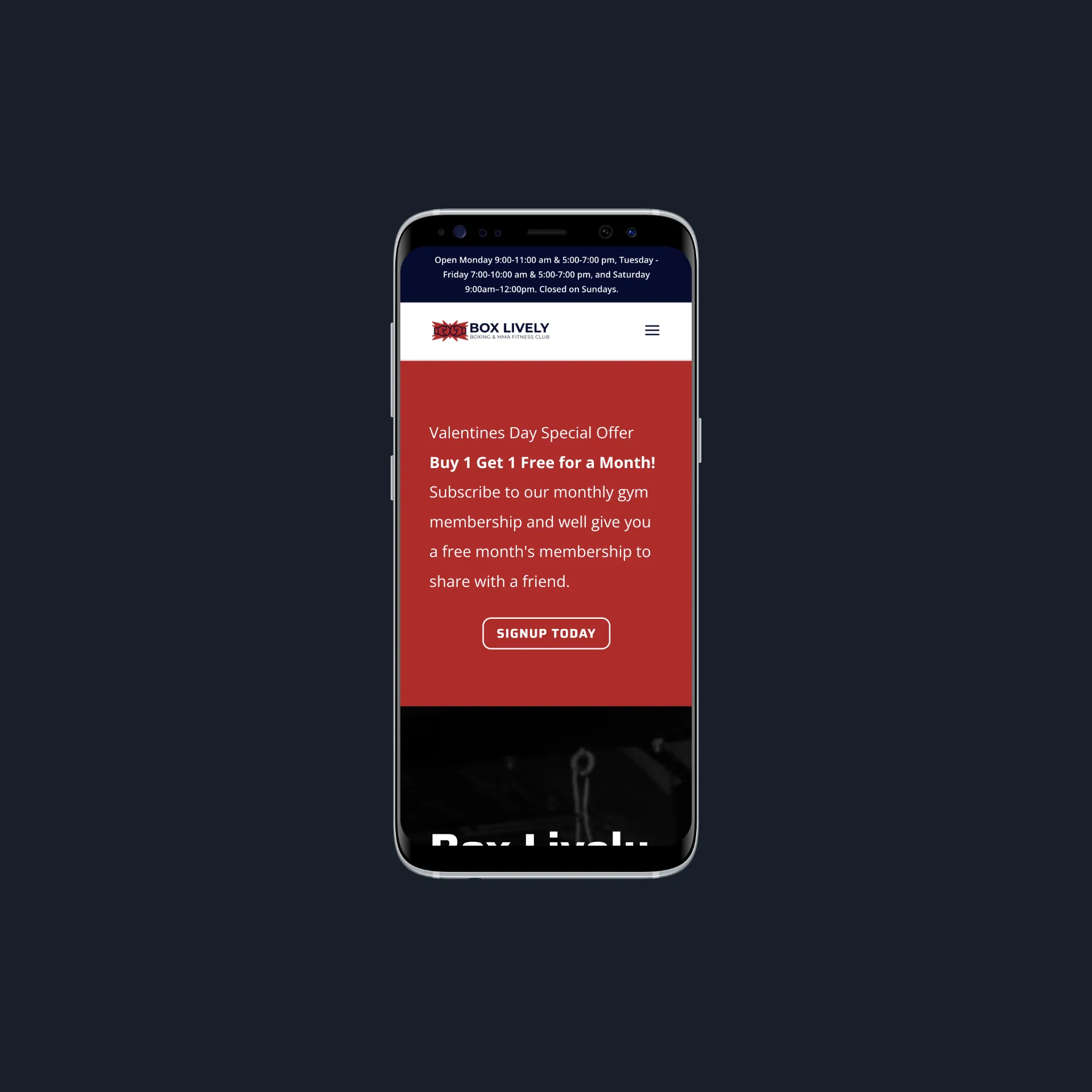 Web Design Project for Box Lively — screenshot
