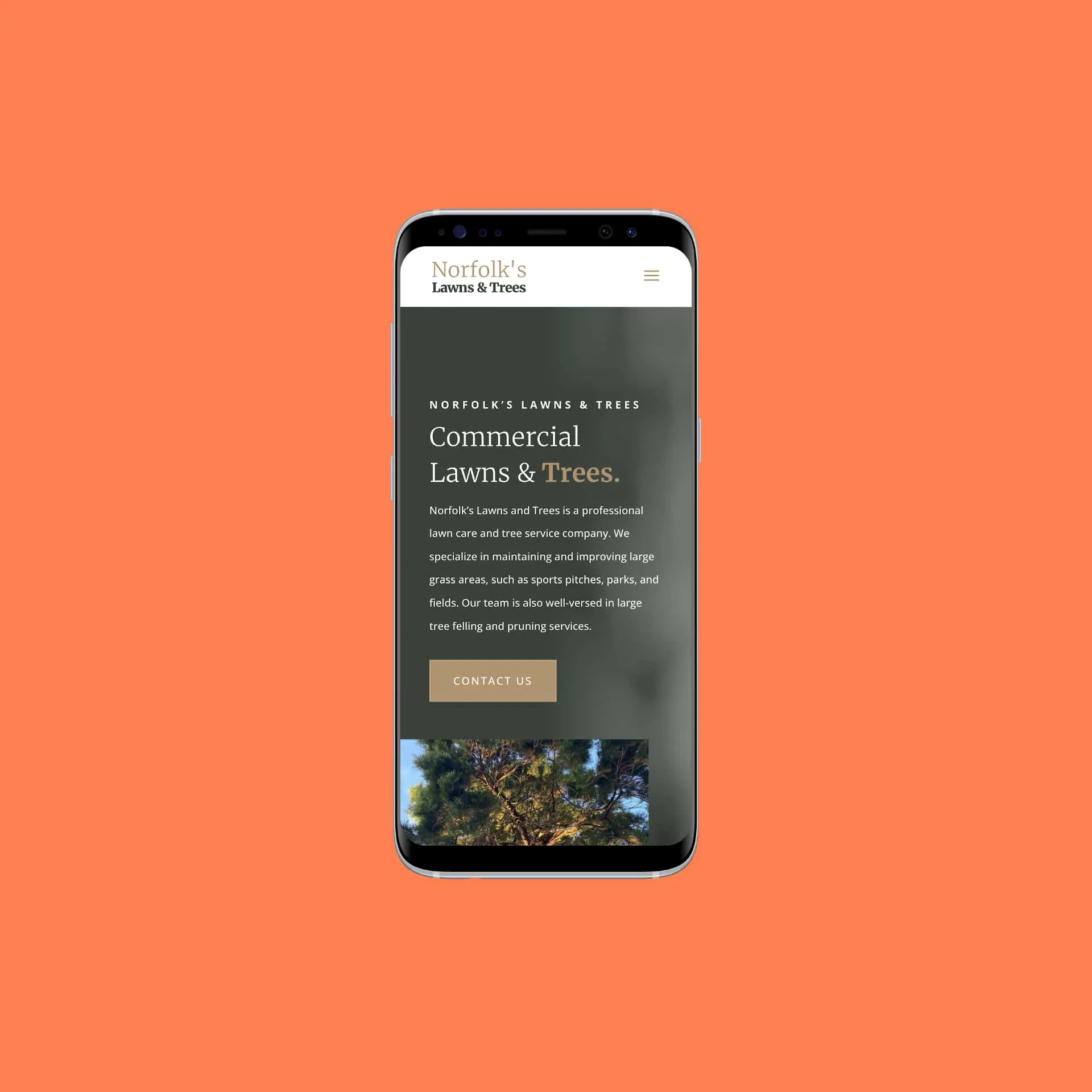 Web Design Project for Norfolk’s Lawns & Trees — screenshot