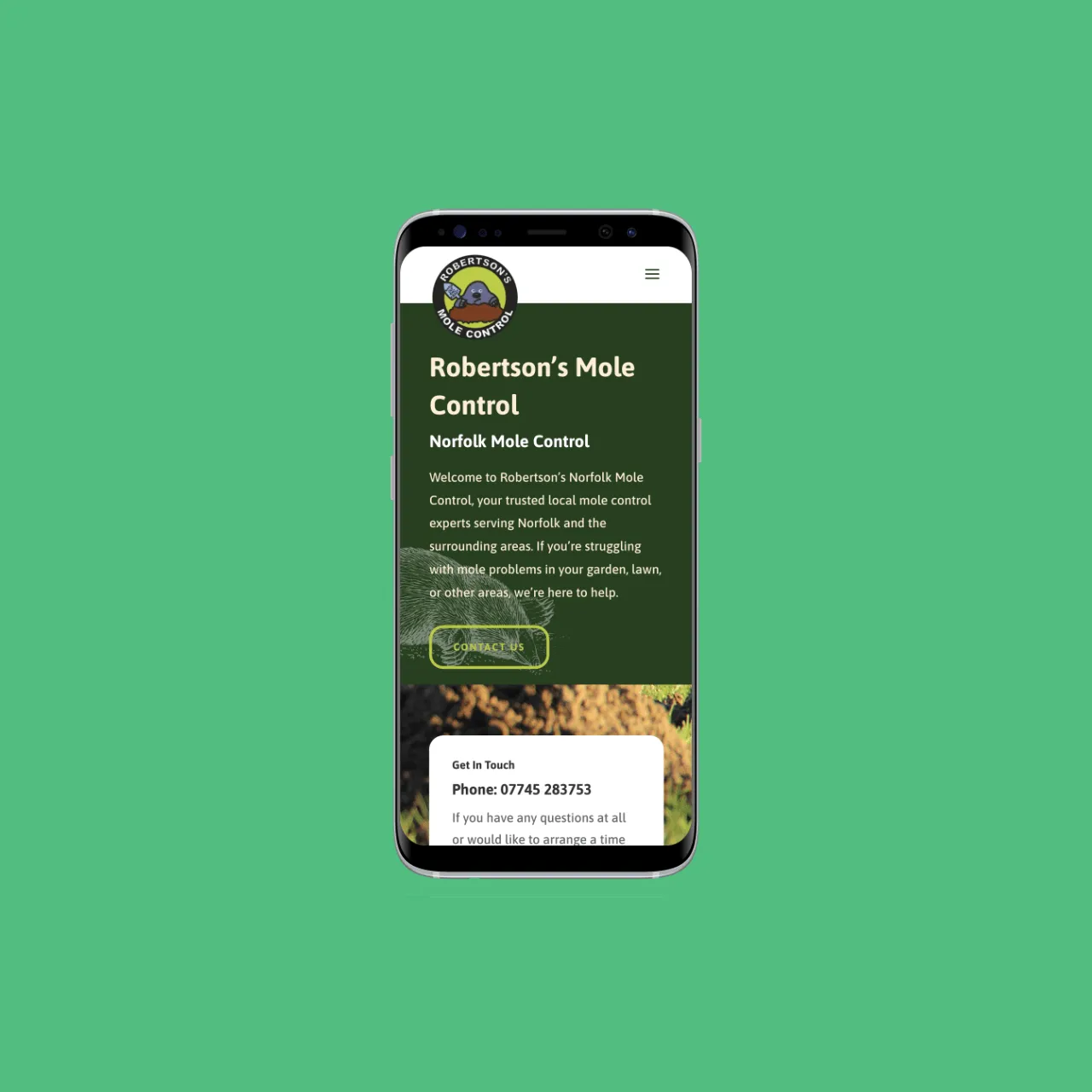 WordPress Web Design for Robertson’s Mole Control — screenshot